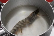 토마토덮밥 4단계